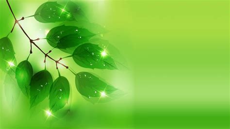 green background images|Green Background Pictures .